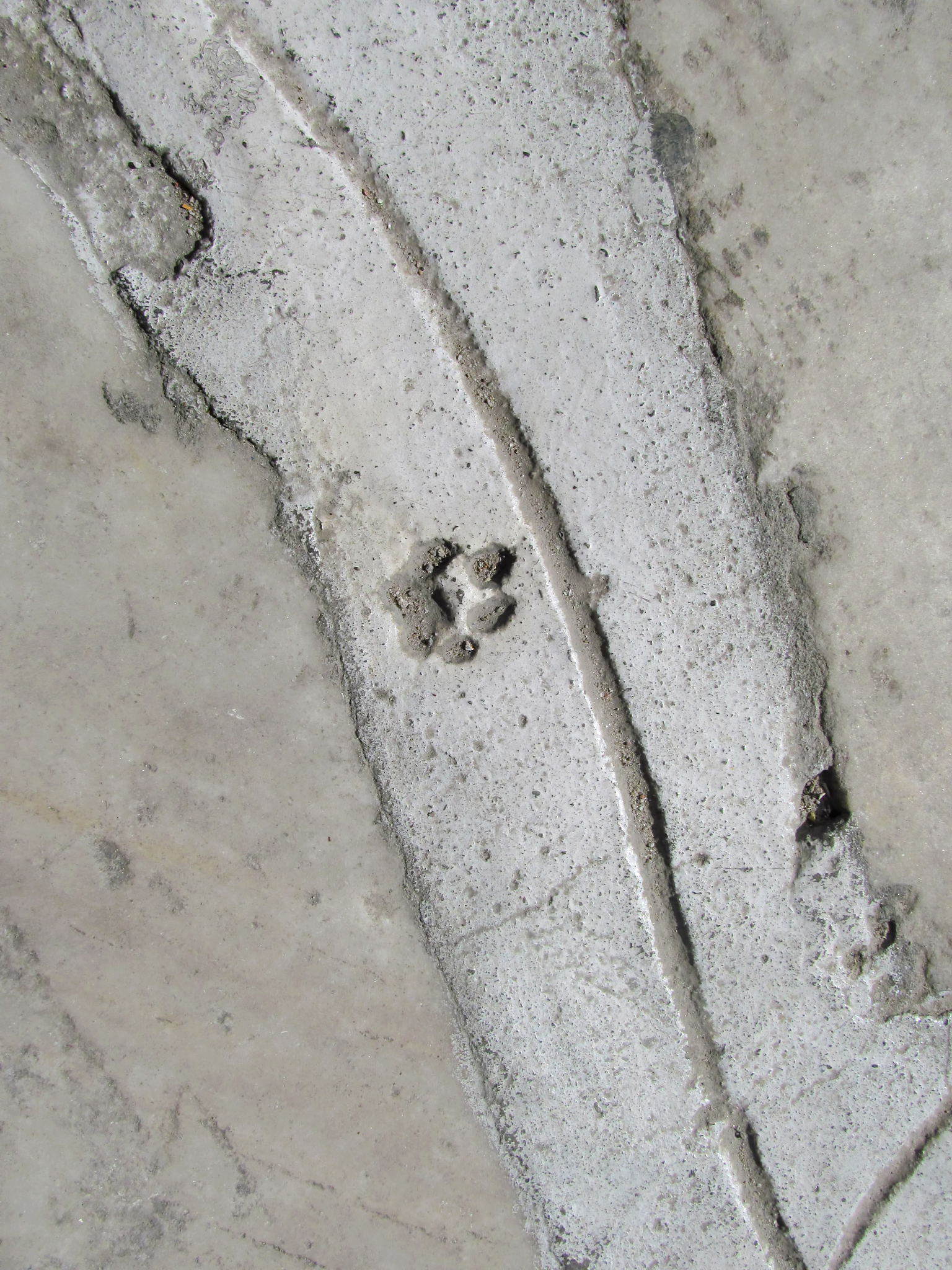 地面大面积空鼓怎么处理(地面大面积空鼓怎么处理好)